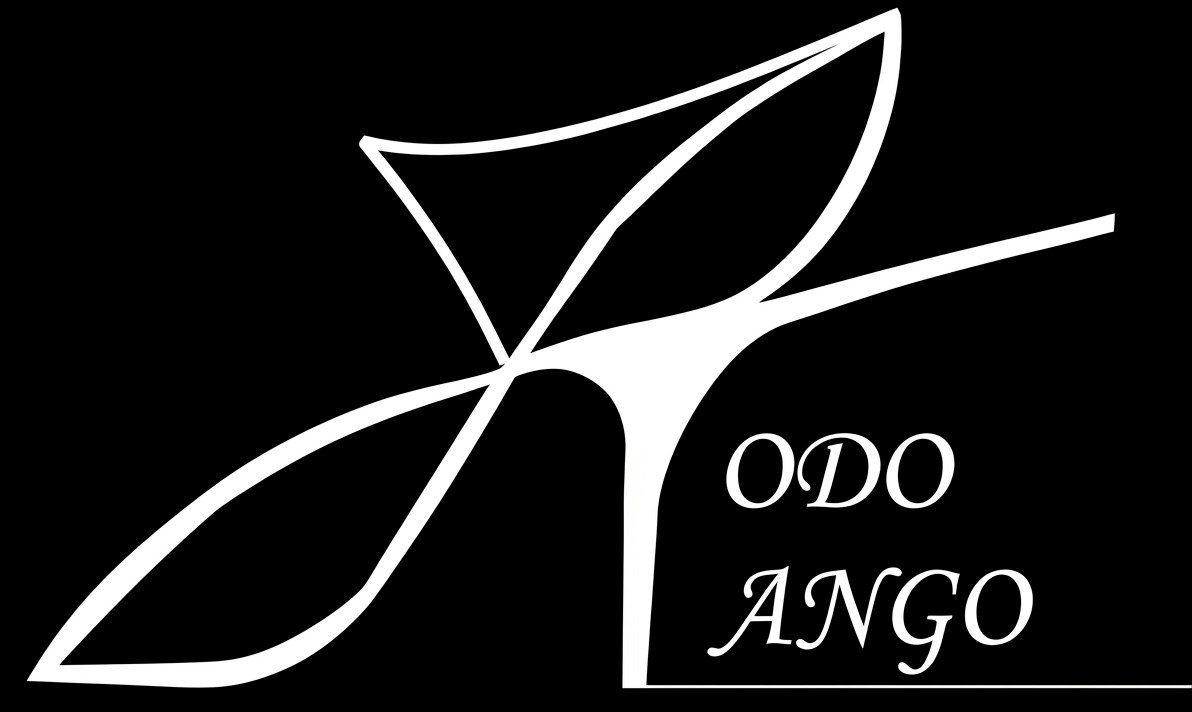 logo todo tango